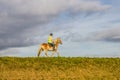 Lincolnshire, England UK. November 9 2017 Lone horse rider Royalty Free Stock Photo