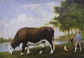 The Lincolnshire Ox painted by George Stubbs Royalty Free Stock Photo