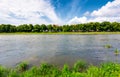 Linden alley on the bank of the river Uzh Royalty Free Stock Photo