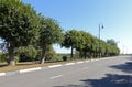 Linden alley on the tambov embankment on the banks
