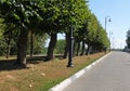 Linden alley on the Tambov embankment