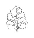 Linden, beech, elm tree one line art. Continuous line drawing of plants, herb, tree, wood, nature, poplar, maple, ash