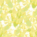 Linden bloom hand drawn vector seamless pattern