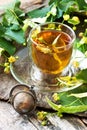 Cup of herbal tea with linden flowers Royalty Free Stock Photo