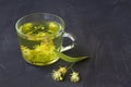 Linden flowers tea.Cup of hot herbal tea with linden fresh flowers on a black table Royalty Free Stock Photo