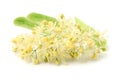 Linden flowers Royalty Free Stock Photo