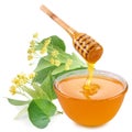 Linden honey. Royalty Free Stock Photo