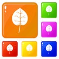 Linden leaf icons set vector color Royalty Free Stock Photo