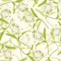 Linden seamless background