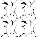 Linden Tilia pattern , branch seed black silhouettes closeup, white background.