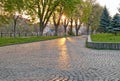 Linden tree avenue