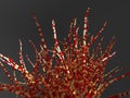 Lindenmayer 3D System - 3D Image Tentacles Aesthetic Template