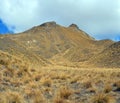 Lindis Pass Tussock Detail, Central Otago, New Zealand