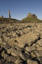 Lindisfarne Castle Royalty Free Stock Photo