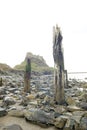 Lindisfarne Castle from the beach 2 Royalty Free Stock Photo