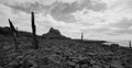 Lindisfarne castle black and white Royalty Free Stock Photo