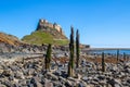 Lindisfarne castle Royalty Free Stock Photo