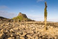 Lindisfarne Castle & Stakes Royalty Free Stock Photo