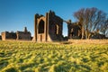 Lindisfarne Priory on Holy Island Royalty Free Stock Photo