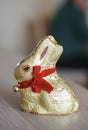 Lindt chocolate easter rabbit