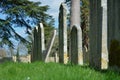 Line of ancient gravestones in cemetery