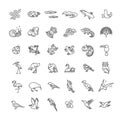 Line animals concepts, vector icons set Royalty Free Stock Photo