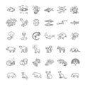 Line animals concepts, vector icons set Royalty Free Stock Photo