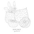 Line Art Bergamot Label. Elements of Fruits and Flowers.