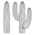 Line art black and white mexican cactus