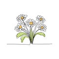 line art, bouquet of flowers daisy spring and summer, drawing with one line. vector illustration white background Royalty Free Stock Photo