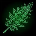 Line art with colorful green neon shiny leaf Royalty Free Stock Photo