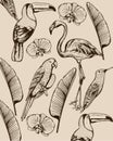 Line art composition of tropical animals and leaves. Flamingo, tucano bird, parrot and swallow
