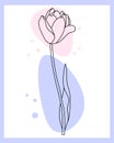 Line art, contour tulip flower with the addition of colored spots of pastel shades. Poster, wall art, postcard, invitation Royalty Free Stock Photo