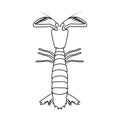 Line art Crayfish icon on white background. Vector illustration EPS 10.