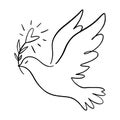 Line art dove. Flying pigeon logo drawing. Black and white vector illustration. Good for greeting card, banner, flyer Royalty Free Stock Photo