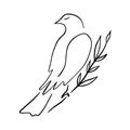 Line art dove. Sitting pigeon logo drawing. Black and white vector illustration. Good for greeting card, banner, flyer Royalty Free Stock Photo