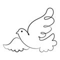 Line art, dove with twig, bird of peace. Black and white illustration vector Royalty Free Stock Photo