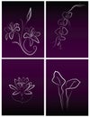 Line art drawing flowers four set