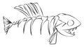 Line art of a fish skeleton vector or color illustration Royalty Free Stock Photo