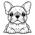 Line art French bulldog illustration. Ink style. Vector. Transparent fill, black lines. Isolated on white background