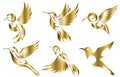 six image set of flying hummingbirds. Suitable for making logos Royalty Free Stock Photo