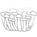 Line art, group of mushrooms (small and large), hand drawn and gray shadows, isolated white background.