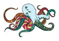 Line art hand drawing black octopus on white background painted multicolored with a black outline. Doodle style