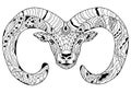 Line art hand drawing black ram isolated on white background. Dudling style. Tatoo. Zenart. Coloring for adults.