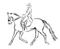 Trotting dressage horse ~