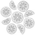 Line art illustration of fresh lemon slices Royalty Free Stock Photo