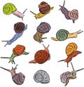 Line Art Illustration Snail Vectors Royalty Free Stock Photo