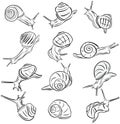 Line Art Illustration Snail Vectors Royalty Free Stock Photo