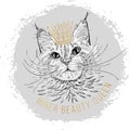 Line art maine coon cat sketch with gold crown for print design. Vector drawing. Cute symbol. Beautiful cartoon