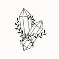 Line art of mystical esoteric crystals with plant vine